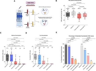 COVID-19 vaccine induced poor neutralization titers for SARS-CoV-2 omicron variants in maternal and cord blood